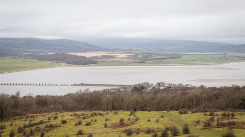 A view from Arnside Knott, with scrubland and trees which stretches out into the estuary. It's a grey day and there are clouds overhead. The viaduct at Arnside stretches out into the water.
